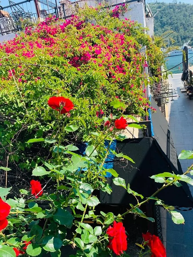 Kiwi Boutique Hotel Old Town Marmaris Villa